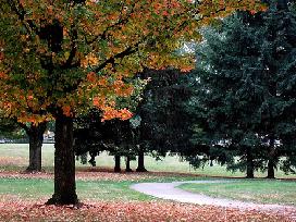 Woodstock Park